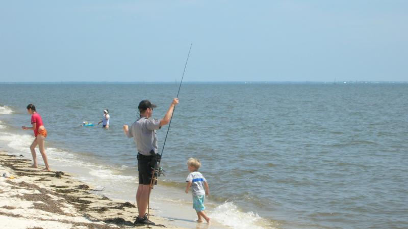 water, beach, fishing