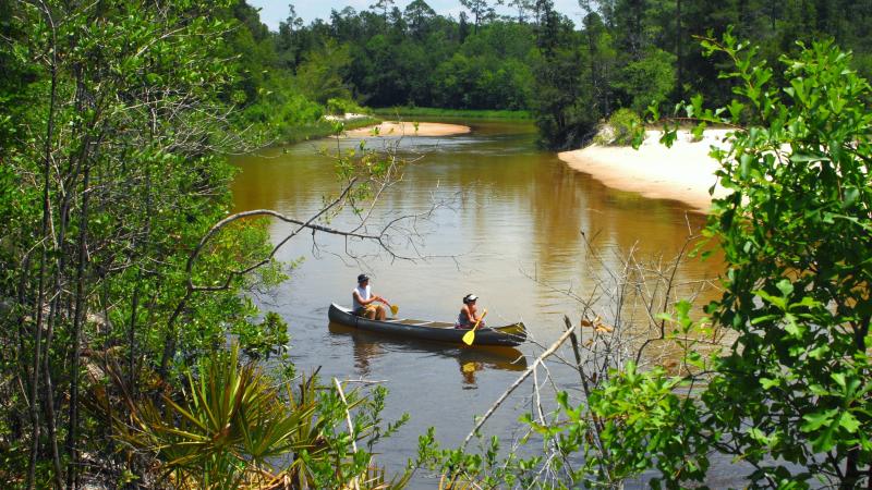 A view of visitors canoeing down the Blackwater River.