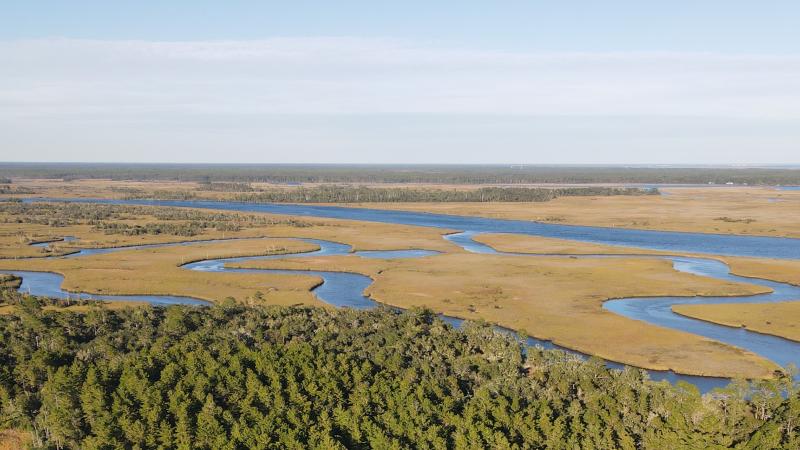 A view of Ochlockonee Bay from the treetops at the Bluffs of St. Teresa