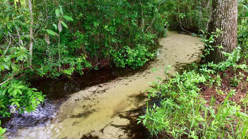 Ravine with clear water