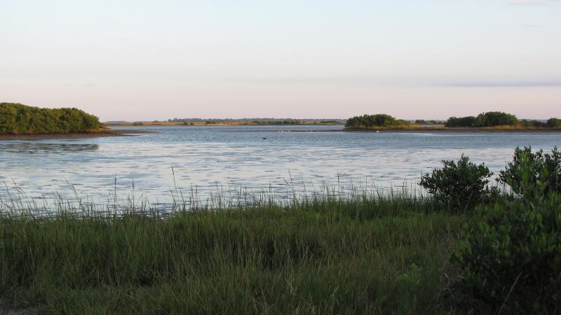 View of the marsh at Cedar Key