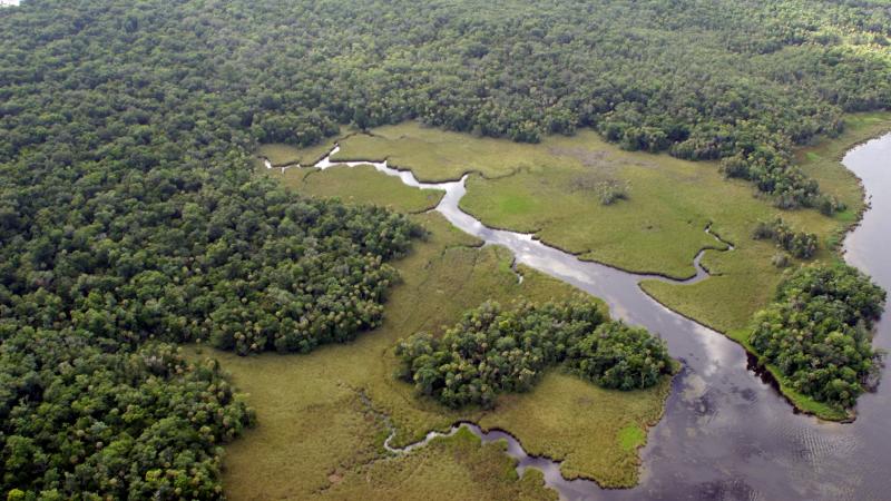 Crystal River Preserve Arial Image