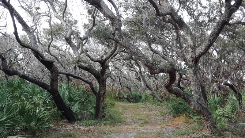 Coastal Strand Trail found at North Peninsula 