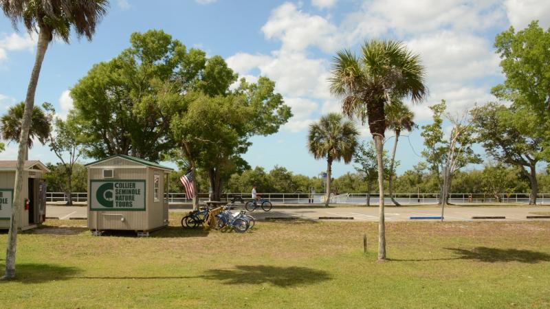 green grass field with building boat-dock and water