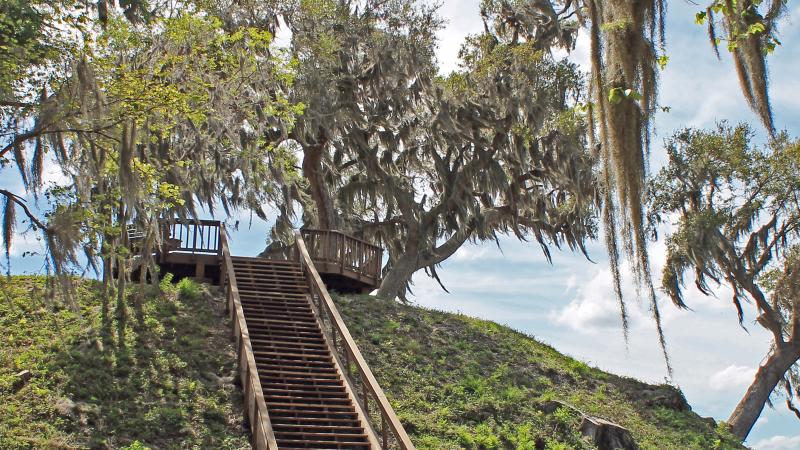 Mound platform at Crystal River Archaeological State Park. 