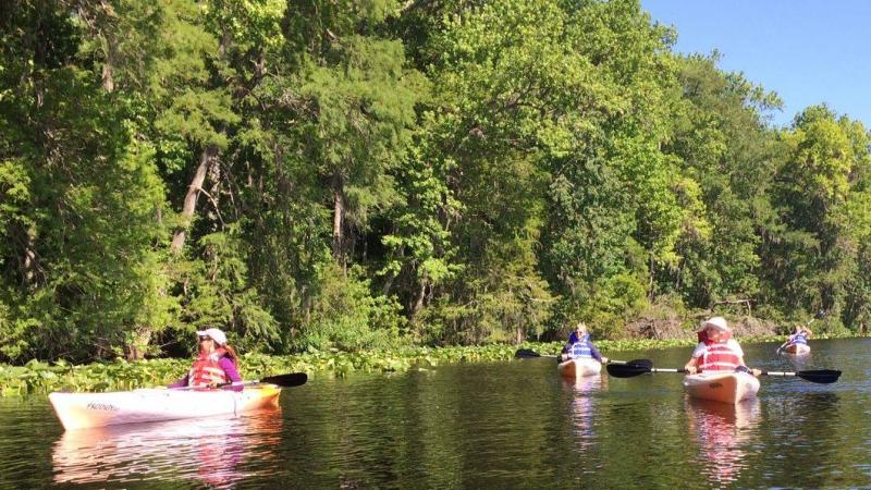 Four kayaks are in the water with trees in the background. 