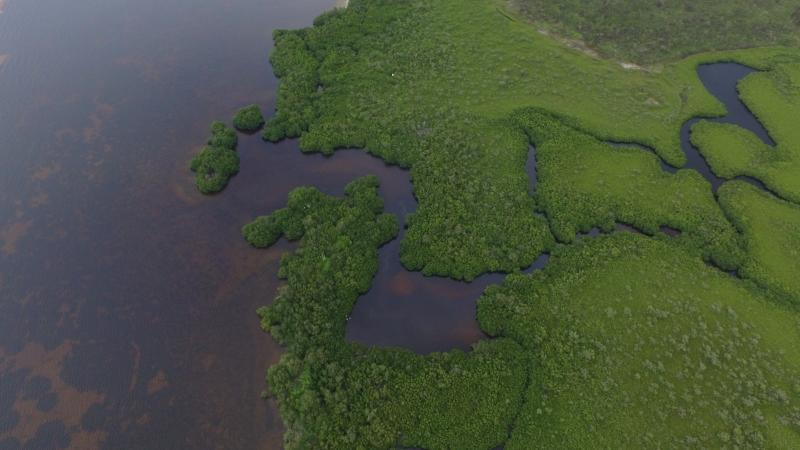 Charlotte Harbor Tippecanoe Bay