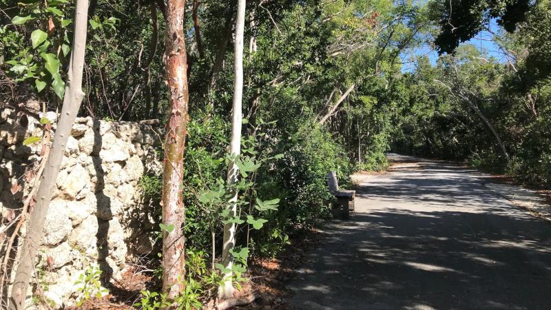  trail wall with bench