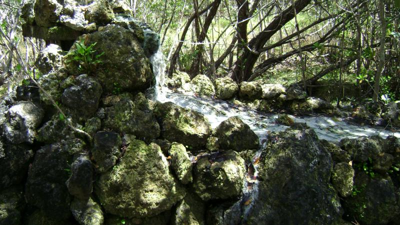 A view of the flowing well.