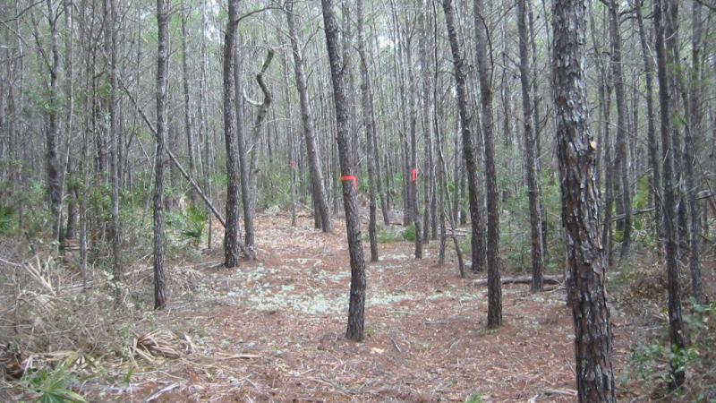 A hiking trail in Deer Lake State Park.