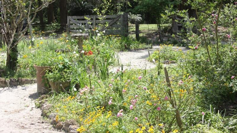 Flowers in the garden