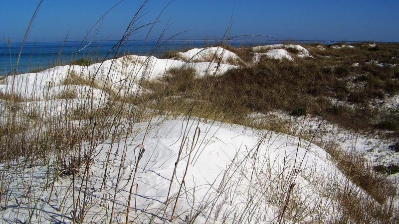 Sand dunes 