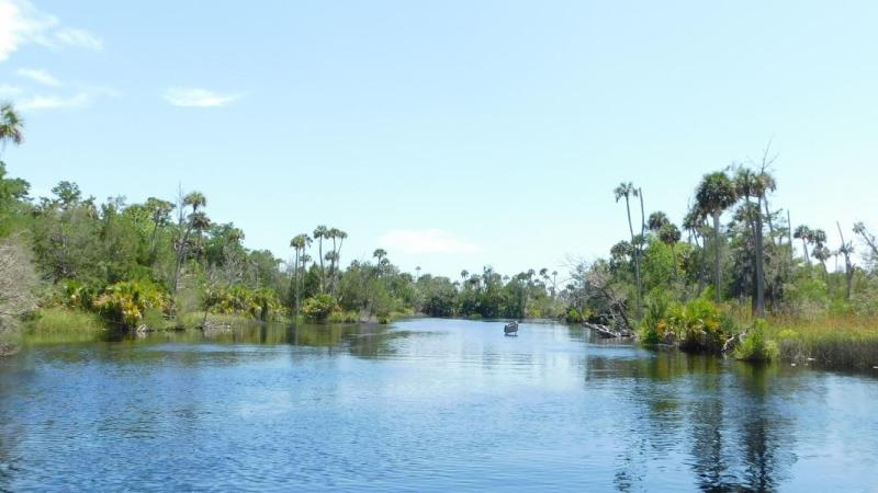 river, springs, water