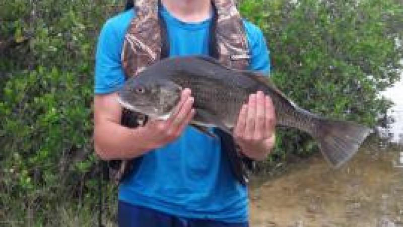 WernerBoyce Salt Springs State Park Florida State Parks