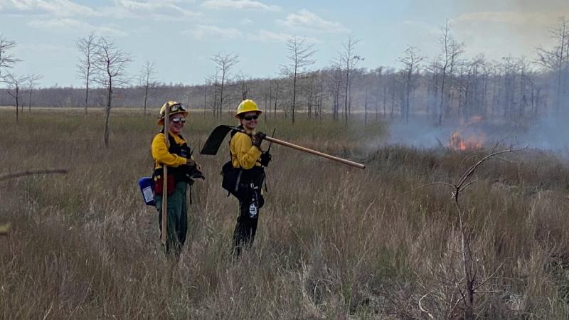 Two people monitor a prescribed fire at Fakahatchee Strand Preserve.