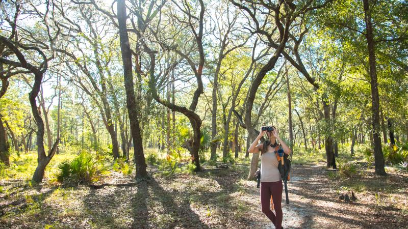 Woman hiking at Wekiwa looking through binoculars 