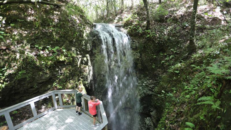 boardwalk, sinkhole, water, boardwalk, cave