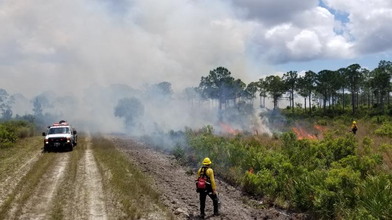 A view of the smoke from a prescribed fire.