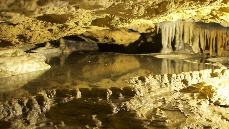 Florida Caverns State Park Florida State Parks