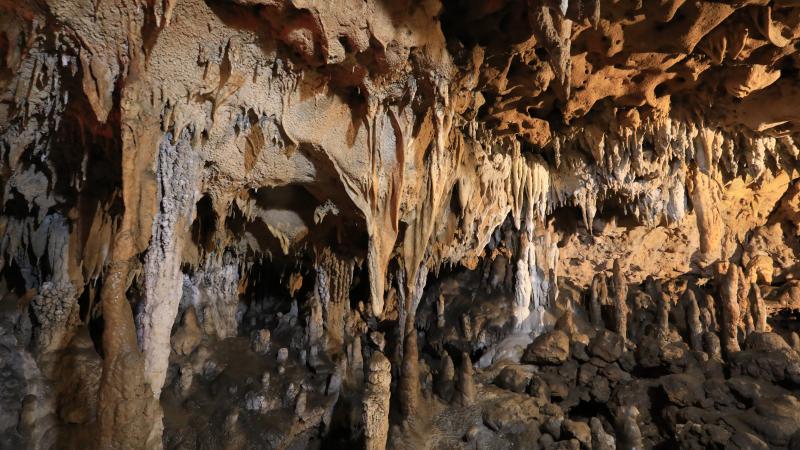 Florida Caverns State Park Florida - Florida Caverns State Park ShgOEyTvyuYydJt09qWqvBr18q0ABlZBh 