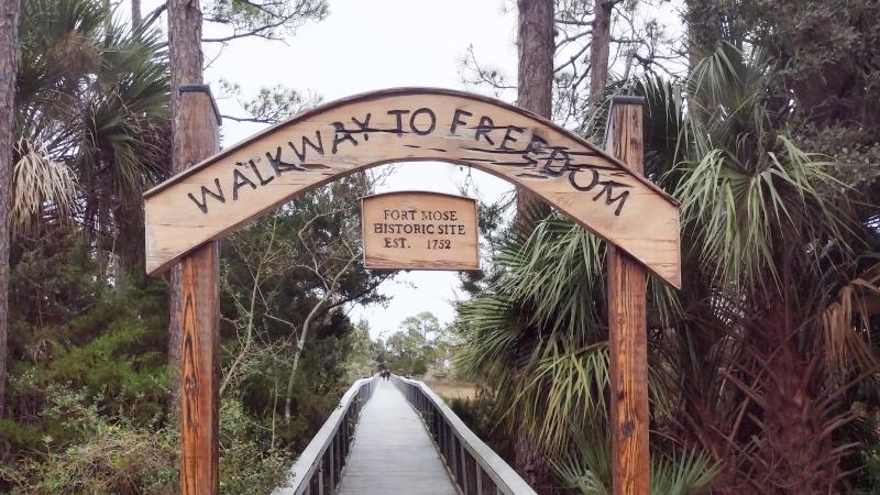 A boardwalk through pine trees with a sign overhead that reads "Walkway to Freedom." 