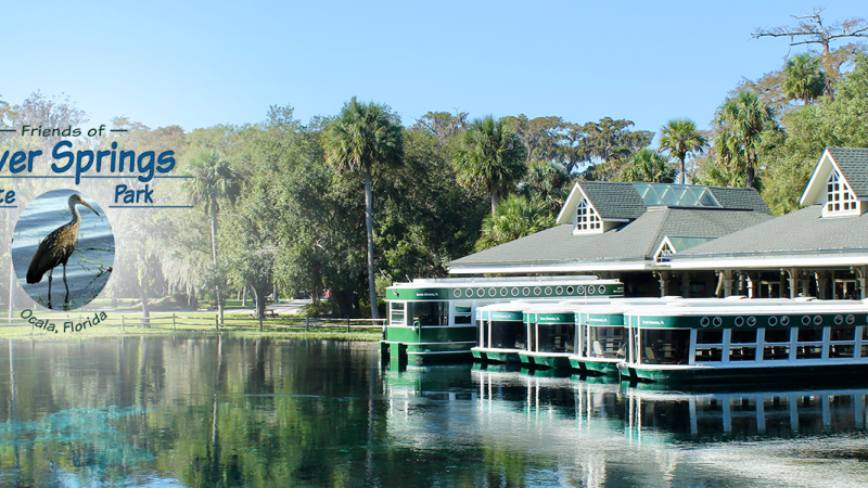 The glass bottom boat dock at Silver Springs State Park with the spring in the foreground and the forest and walkways in the background. The Friends of Silver Springs State Park logo is superimposed over the left side of the picture. 