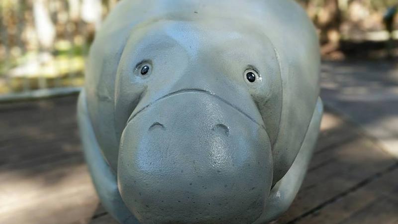 Friends of Manatee Springs Park