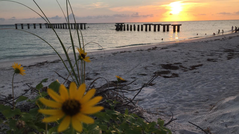 Gasparilla Island State Park