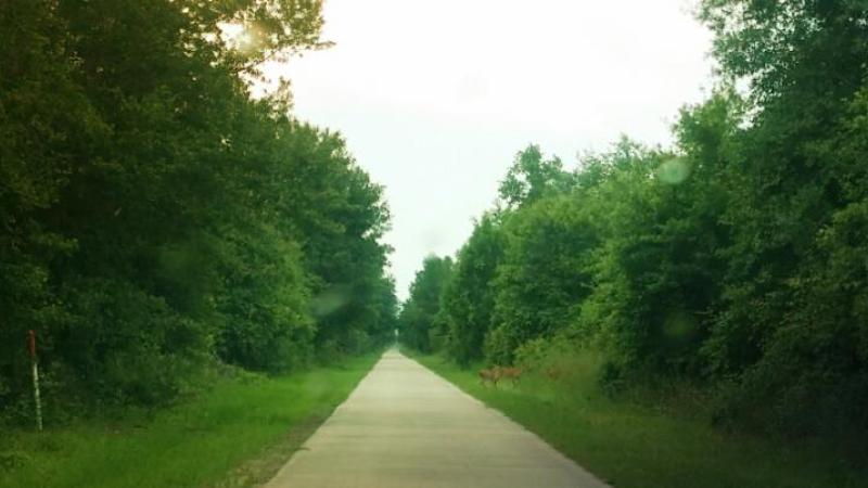 General James A. Van Fleet State Trail