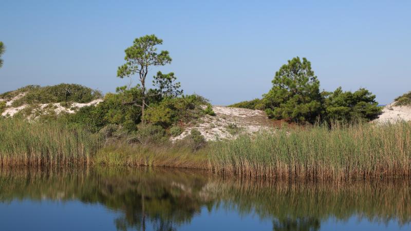 A dune lake at Grayton Beach.