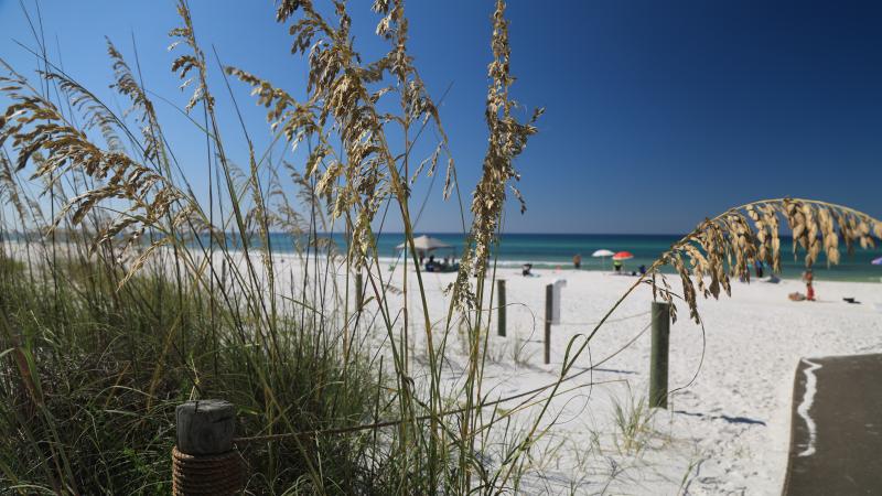 Grayton Beach