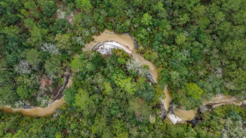 An aerial view of a shallow creek running through a forest. 
