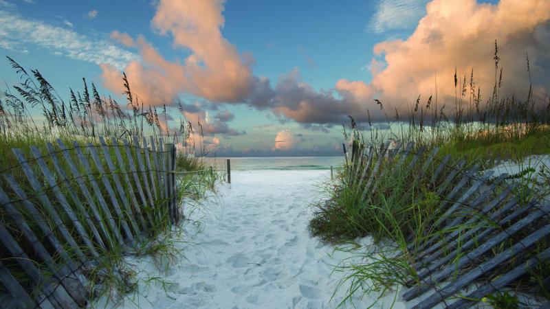 Enterance to the beach with dune fencing visable