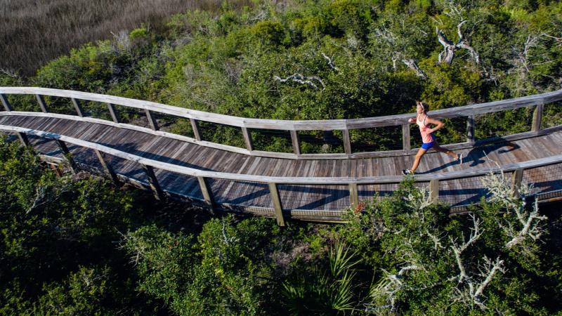 Baseline Road Trailhead Florida State Parks