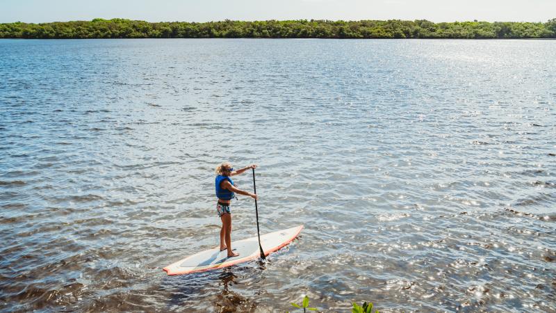 A person paddles a stand up paddle board.