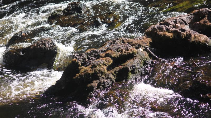 A view of the rapids.