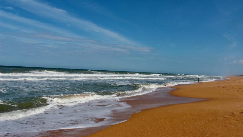 Golden coquina sand at North Peninsula SP