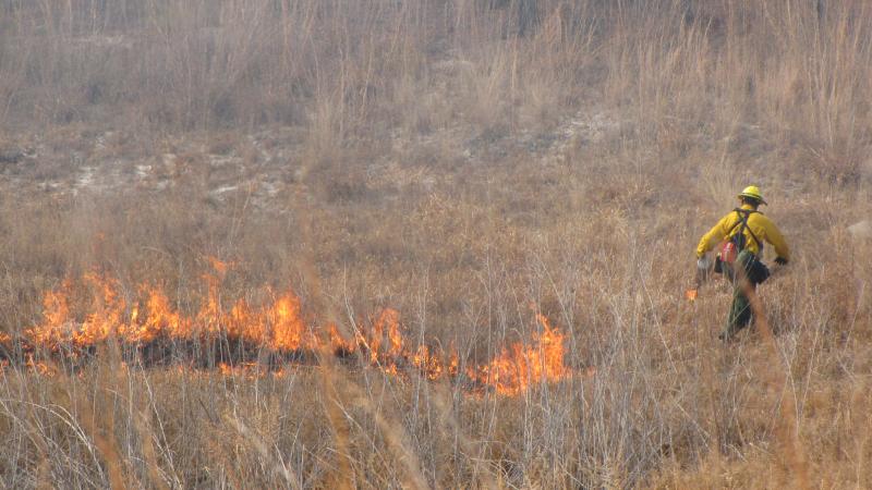 Fire crew igniting prairie with drip torch