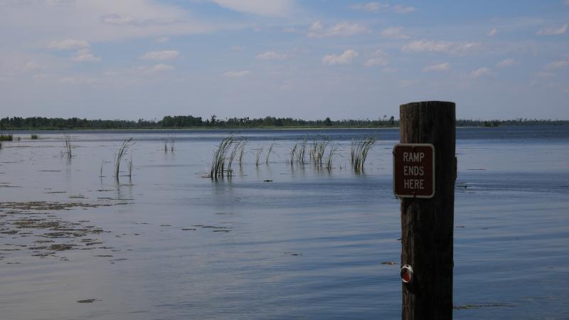 A view of Lake Seminole.