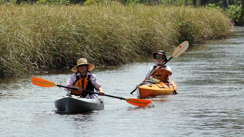 Visitors paddling down the Ochlockonee River. 