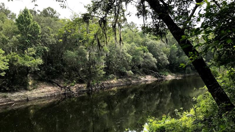 The Withlacoochee River