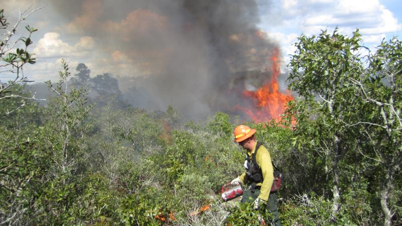 Prescribed fire at Catfish Creek scrub