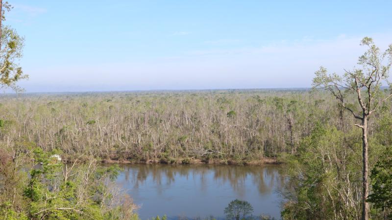 A view of the river at Torreya from atop a hill