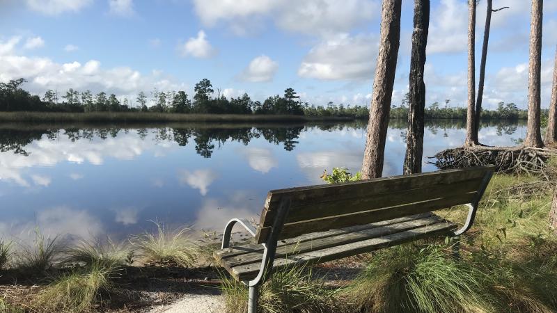 Ochlockonee River State Park