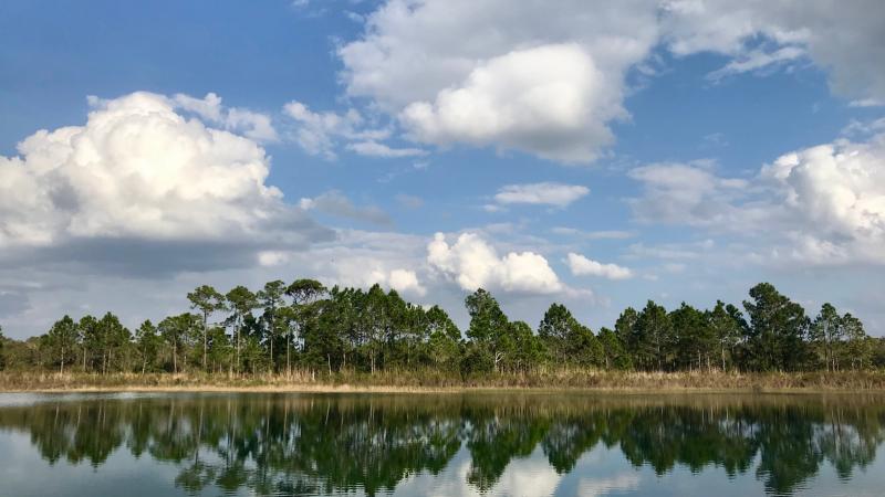 Pond at catfish creek