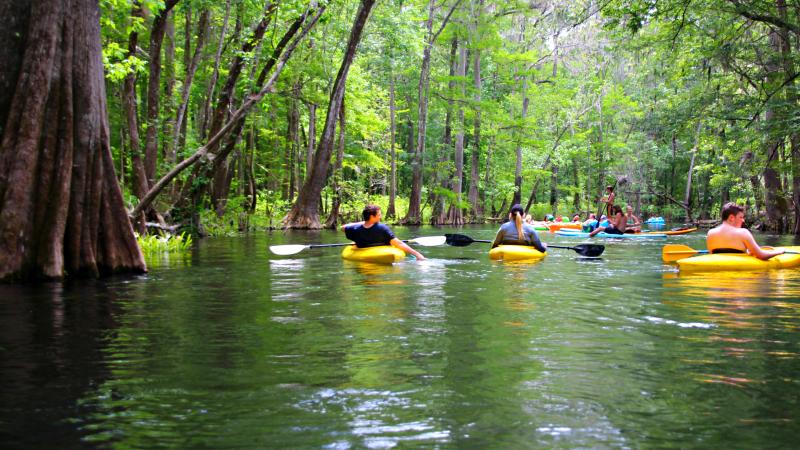 Ichetucknee Springs