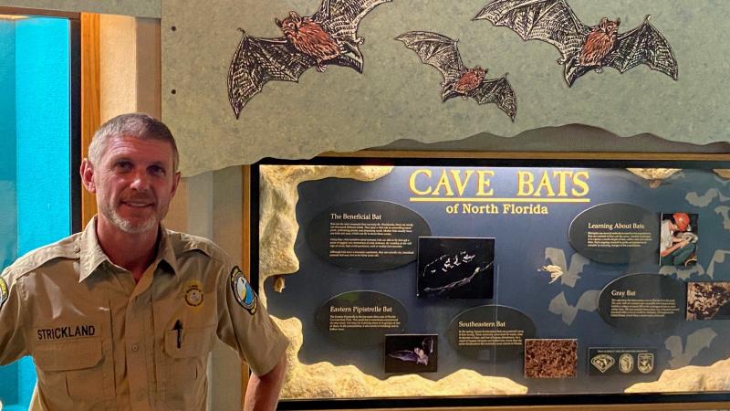 Park Manager Jacob Strickland standing beside an interpretive display in the Visitor Center Museum that explains the beneficial effects of bats in North Florida.