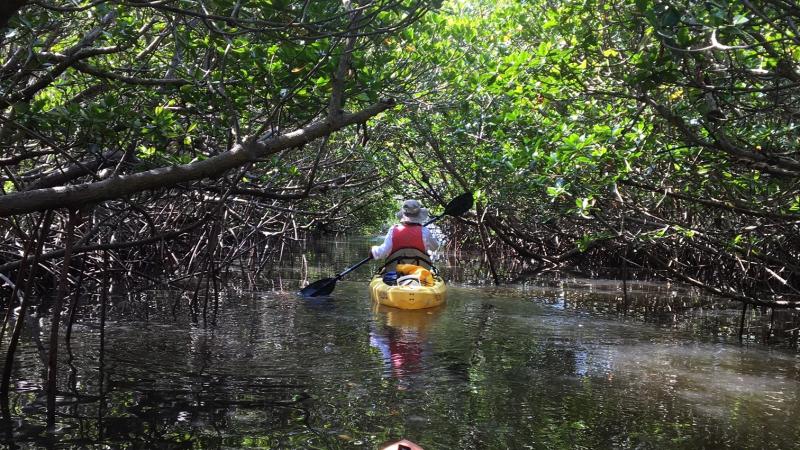 Kayak Trail 1