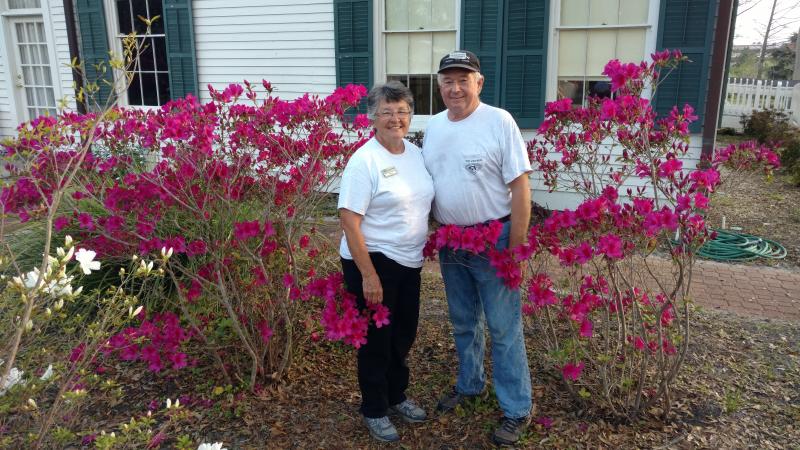 Volunteers Ken and Pattie Fox stand in front of azalea bushes at the Orman House full of bright fuschia blooms. 