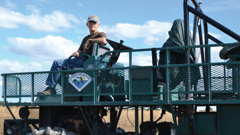 Buggy Tours